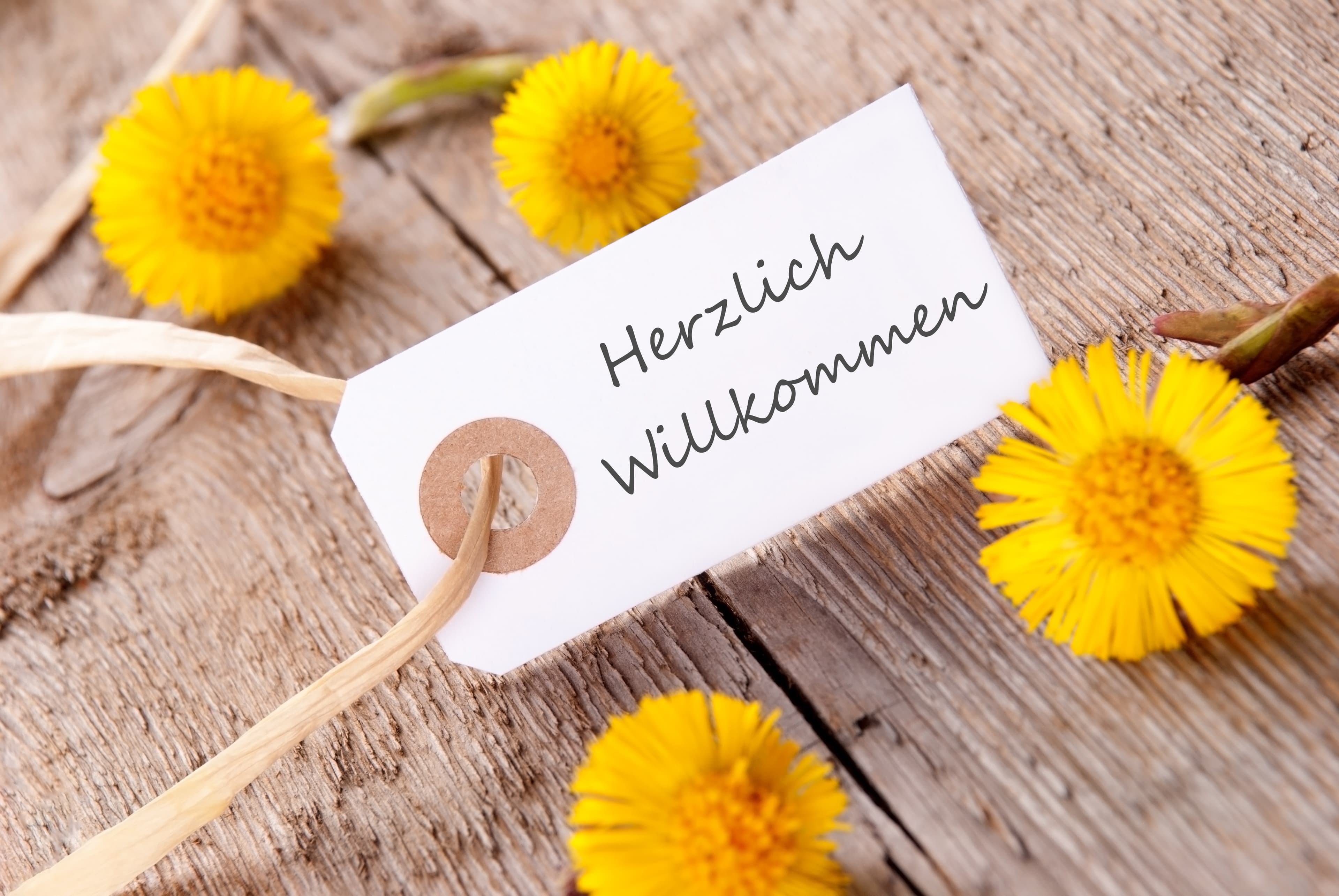 Willkommen bei Fokus Leben
